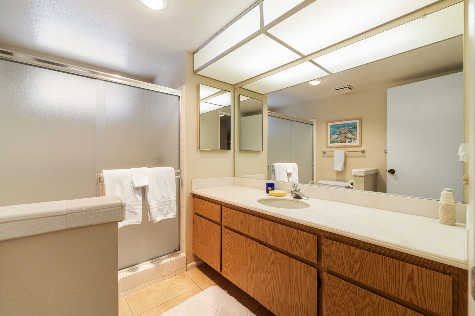 bathroom with walk-in shower