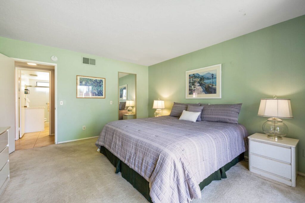 master bedroom with bed